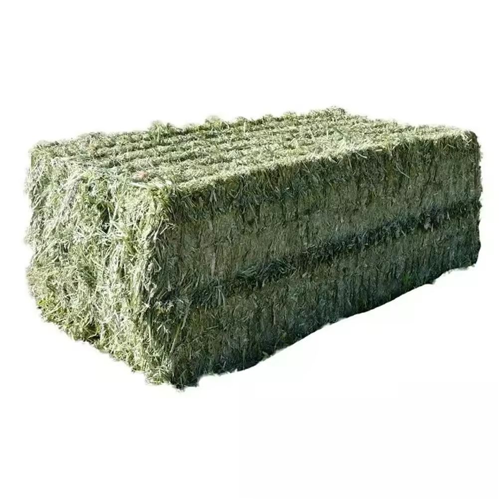 Timothy Hay